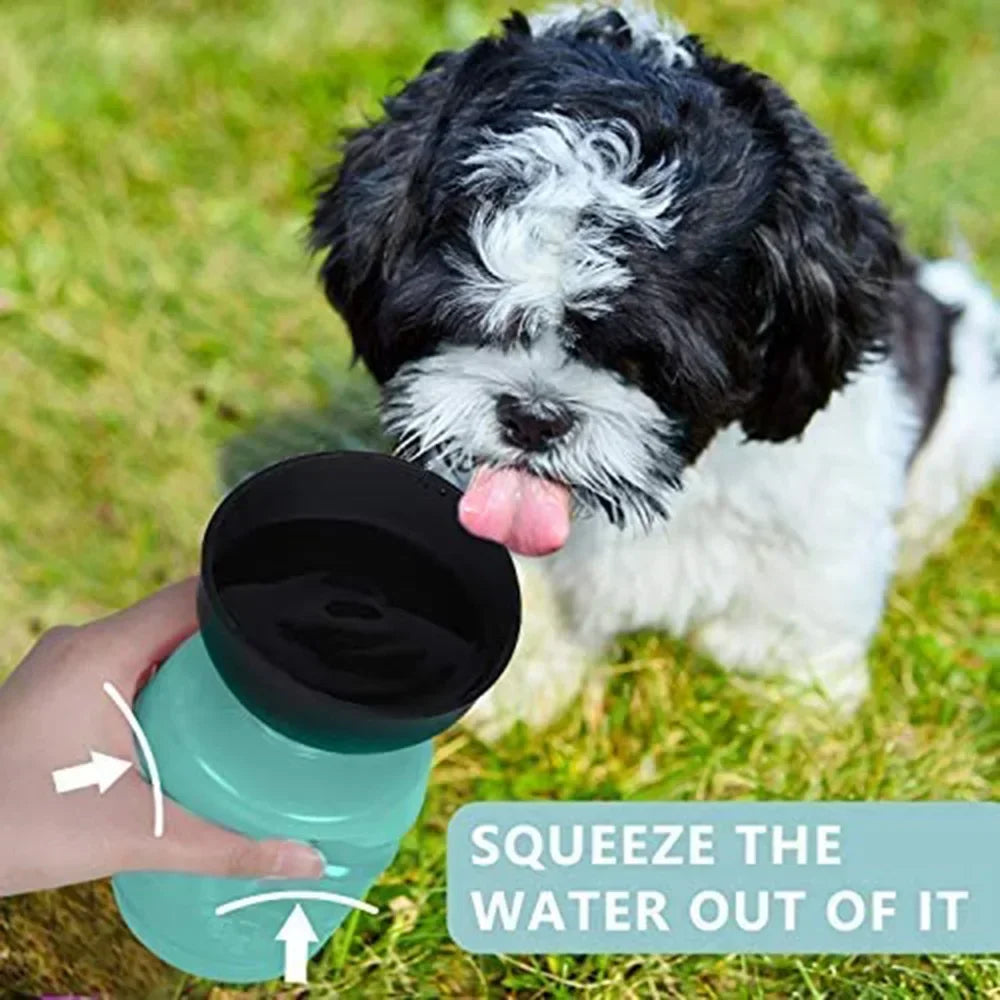 Portable Dog Water Bottle: Hydration on the Go!