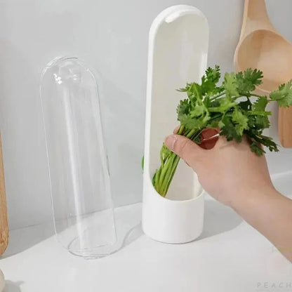 Caja de conservación de frutas y verduras frescas de vainilla transfronteriza, a prueba de polvo, antipresión, protección ambiental, dispositivo de conservación de frutas y verduras creativo