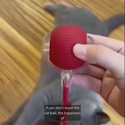 New Cat Interactive Ball Toy,Automatic Rolling Cat Ball Rechargeable